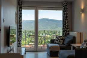 Apartament dla aktywnych (z pięknym widokiem), Szklarska Poręba